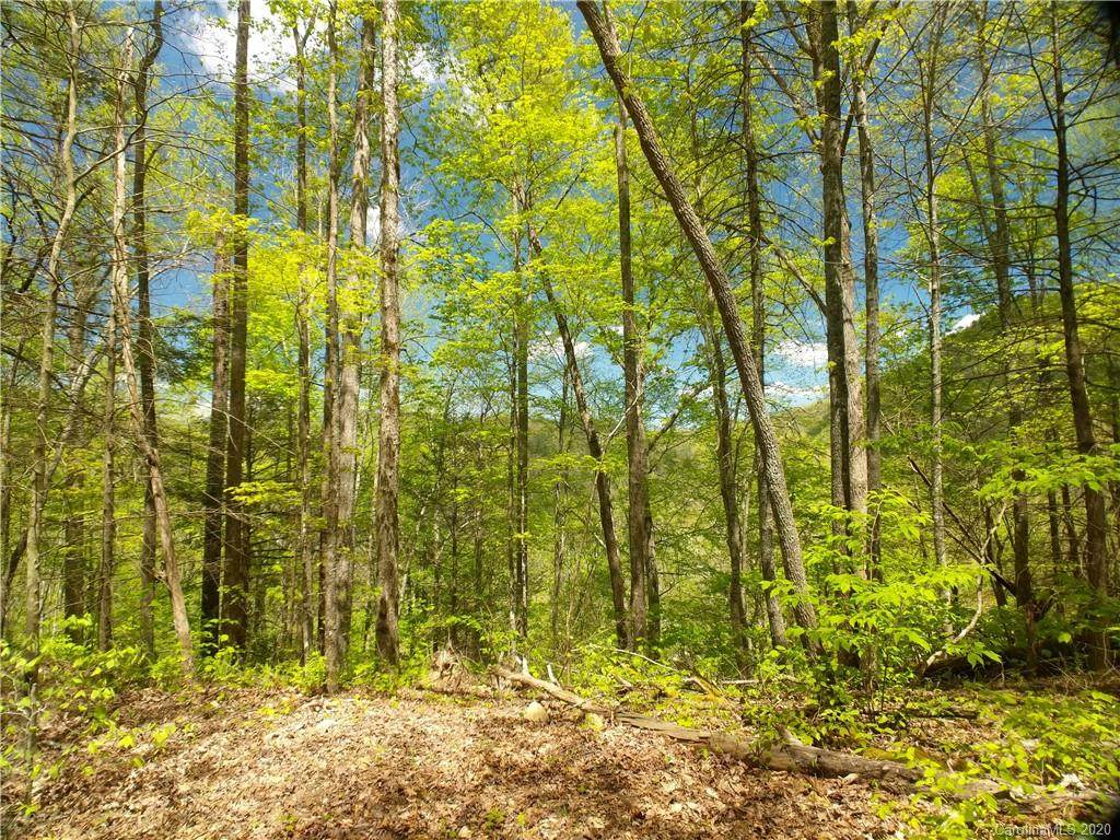 Lot 91 Bear River Lodge Trail - Photo 1