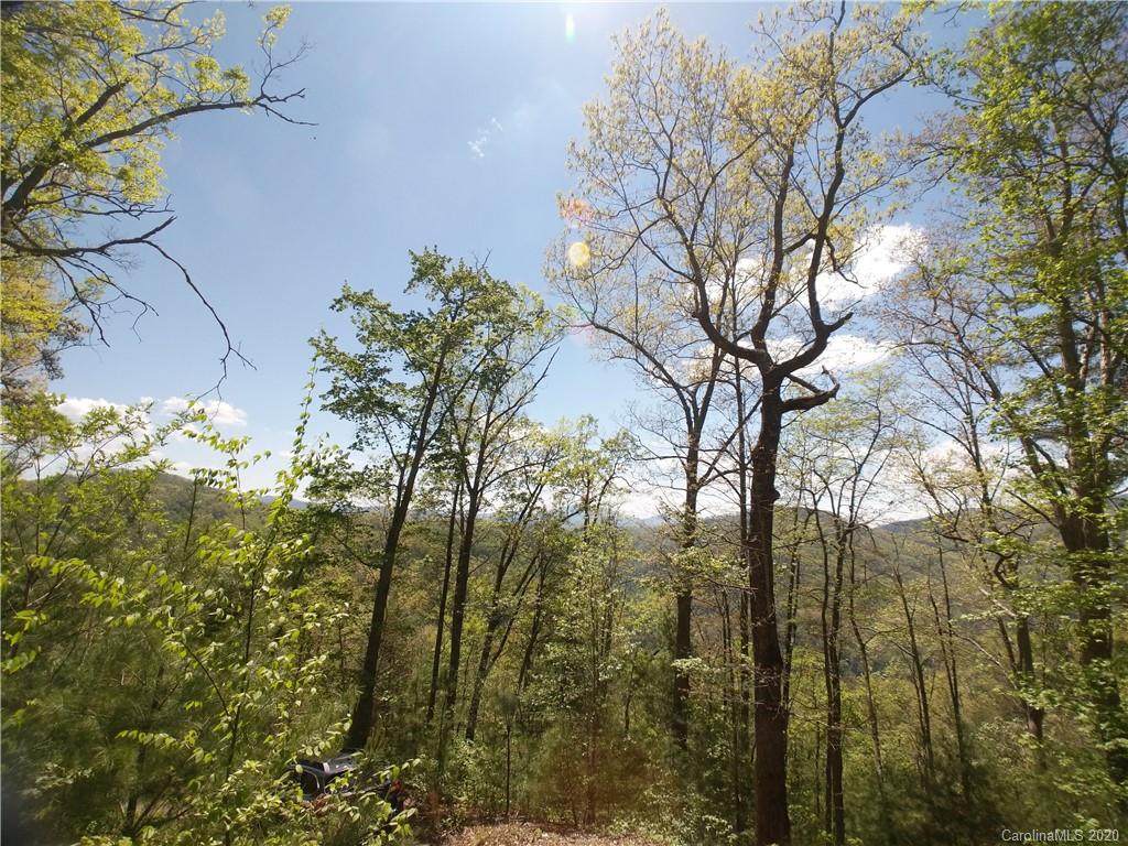 Lot 118 Bear River Lodge Trail - Photo 1