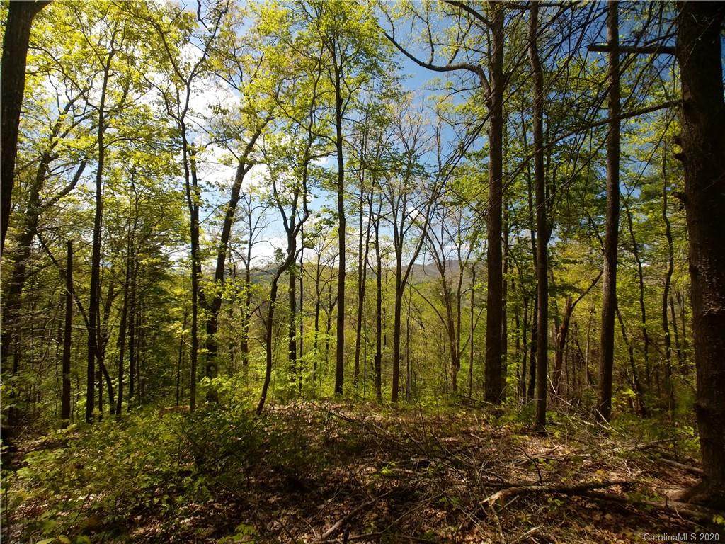 Lot 129 Saddle Top Lane - Photo 1