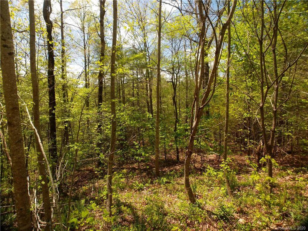Lot 101 Bear River Lodge Trail - Photo 1
