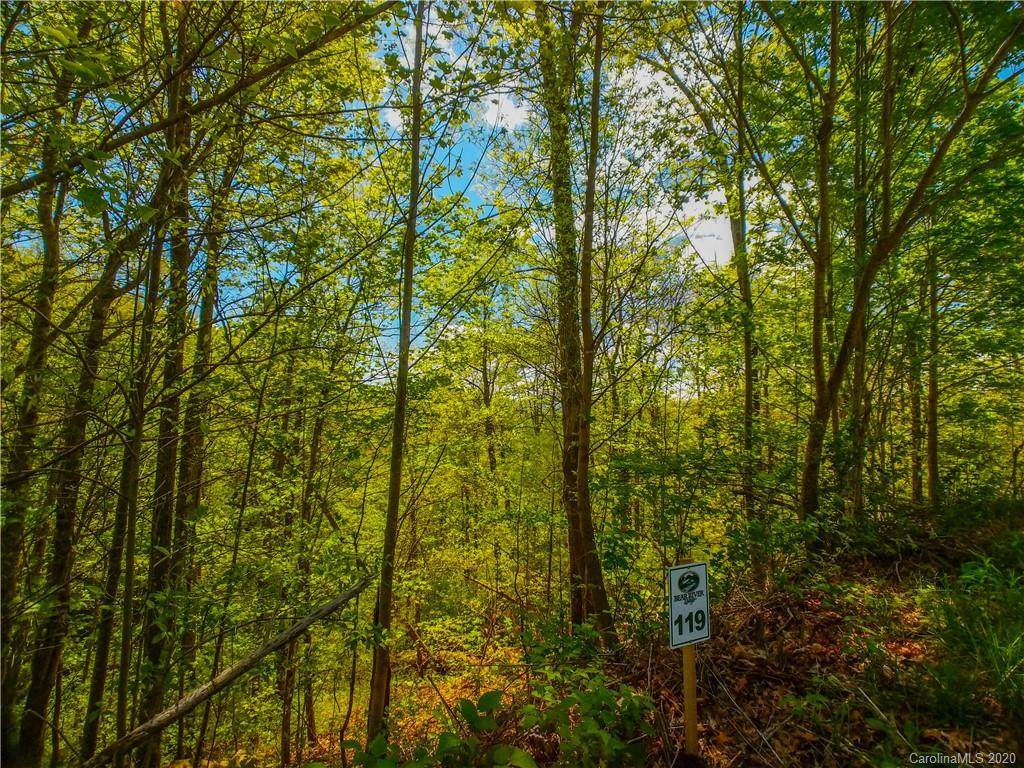 Lot 119 Bear River Lodge Trail - Photo 1