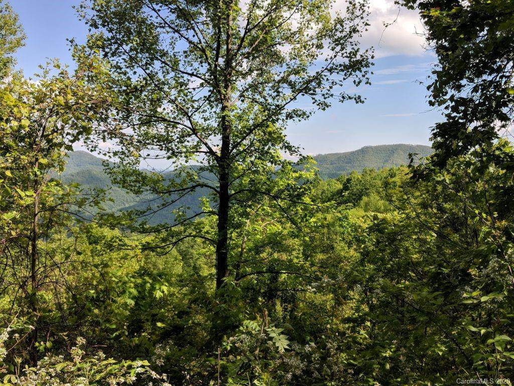 Lot T-78 1591 Creston Drive - Photo 1