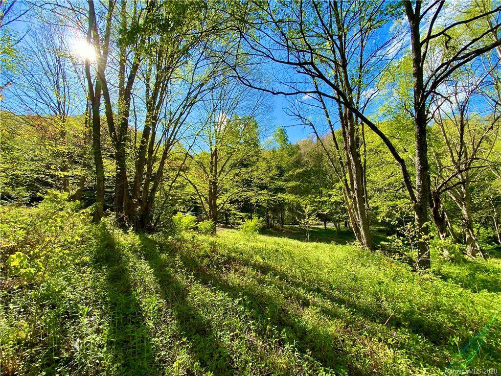 TBD Big Laurel Road - Photo 1