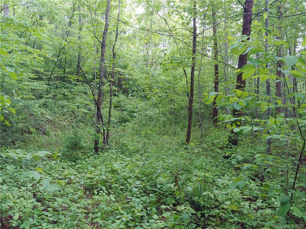Lot 30 Birch Tree Cove - Photo 1
