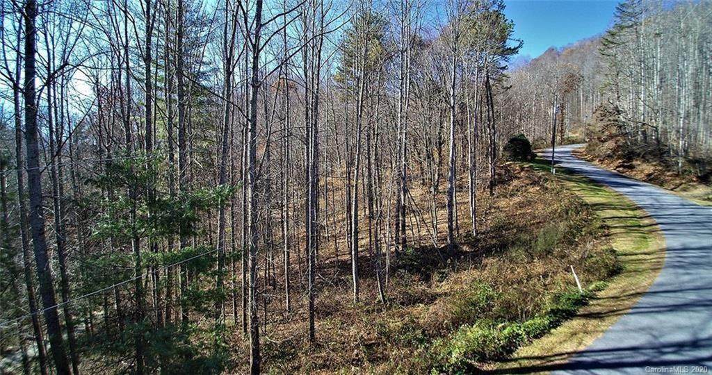 Lot #31 Forest Valley Road - Photo 1 Lot #31 Forest Valley Road - Photo 1