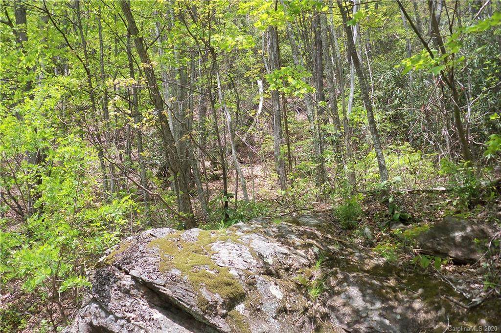 Lot 290 Winding Creek Drive - Photo 1