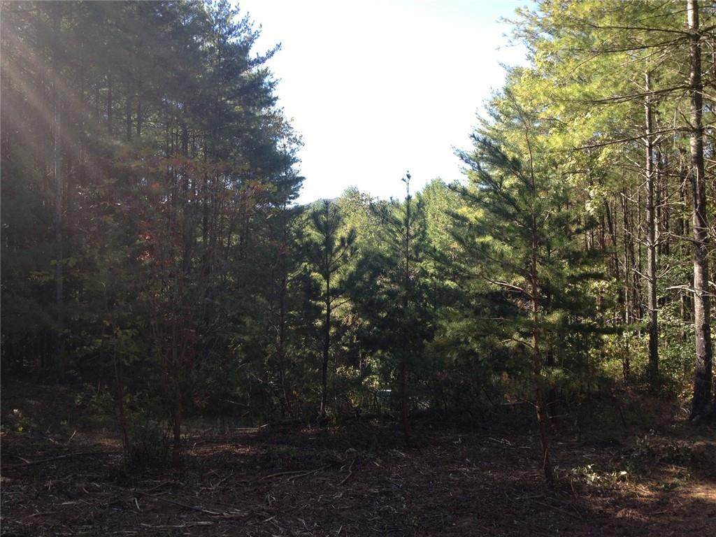 00 Collette Ridge Circle - Photo 1 00 Collette Ridge Circle - Photo 1