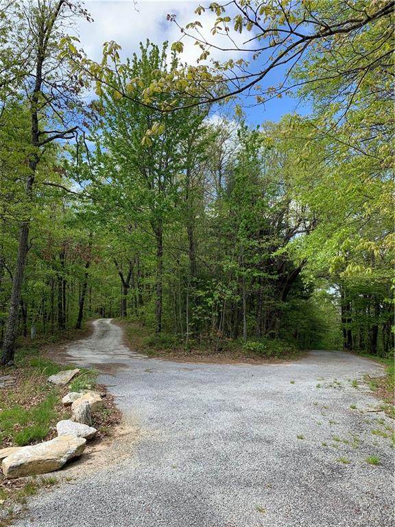TBA Chestnut Ridges Road - Photo 1 TBA Chestnut Ridges Road - Photo 1