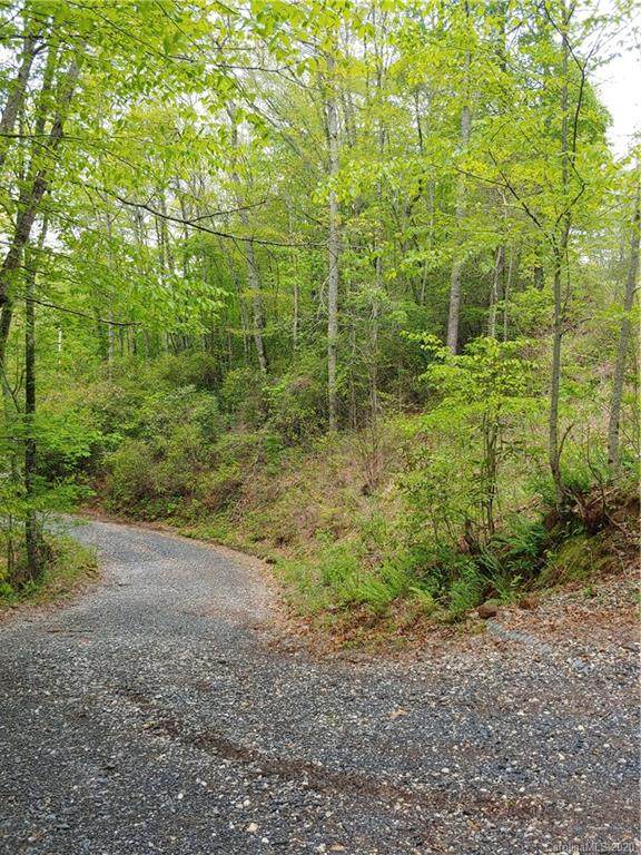 Lot 9 Gator Ridge Drive - Photo 1