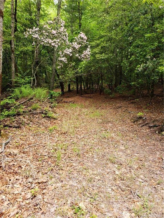Lot 10A Dogwood Court - Photo 1 Lot 10A Dogwood Court - Photo 1