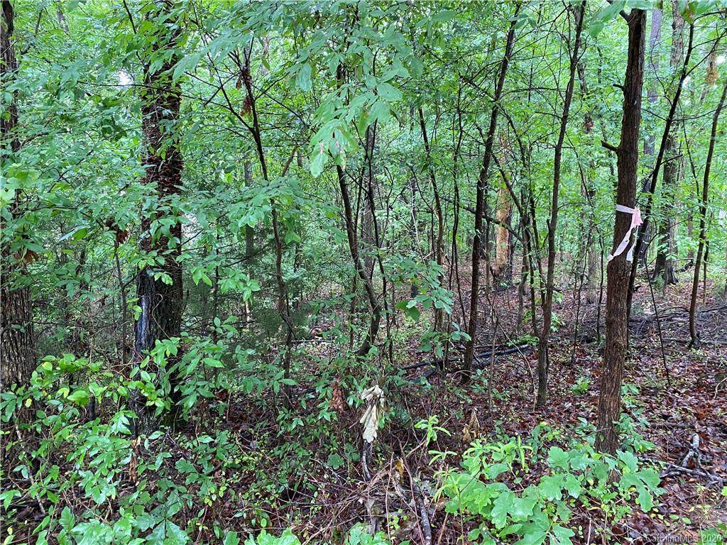 365 Stone Cliff Lane - Photo 1