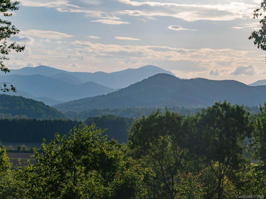 Lot 29 & 39 Pisgah Ridge Trail - Photo 1