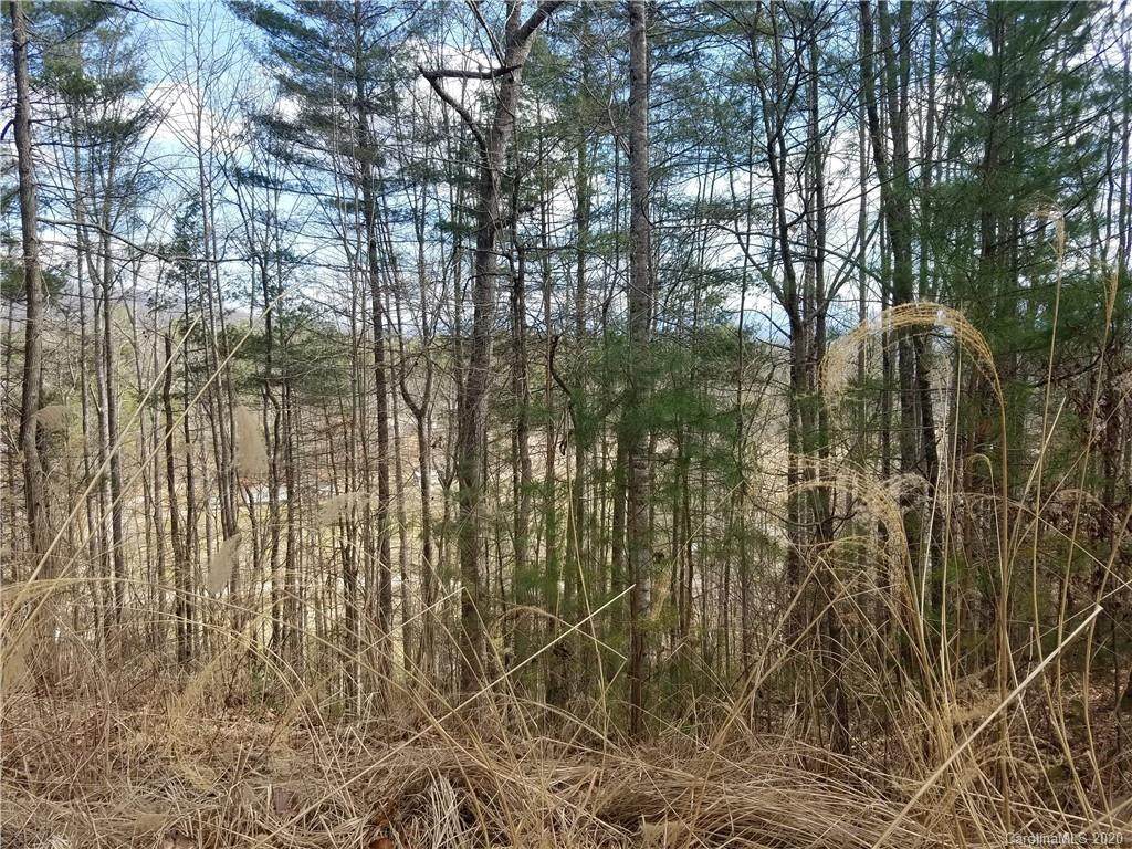 lot 18 Scarlett Ridge Drive - Photo 1