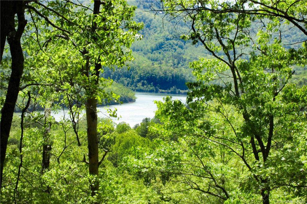 98-2 Wild Orchid Trail - Photo 1