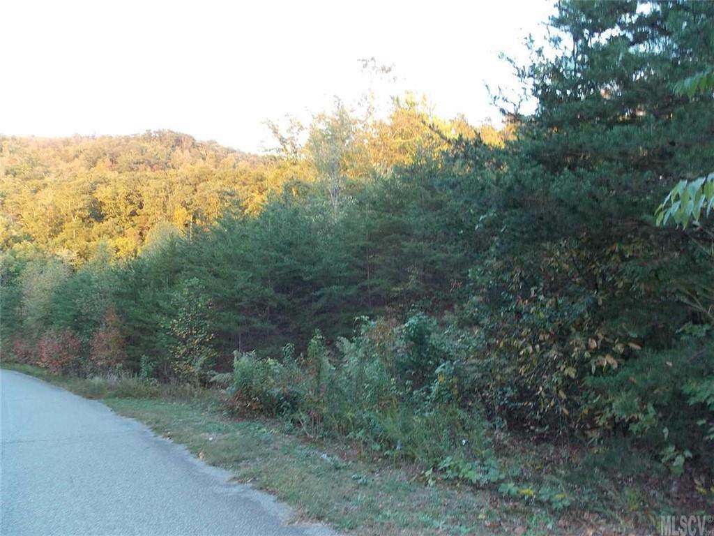 2468 Lick Mountain Drive - Photo 1