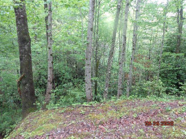 N/A Ivy Ridge Circle - Photo 1