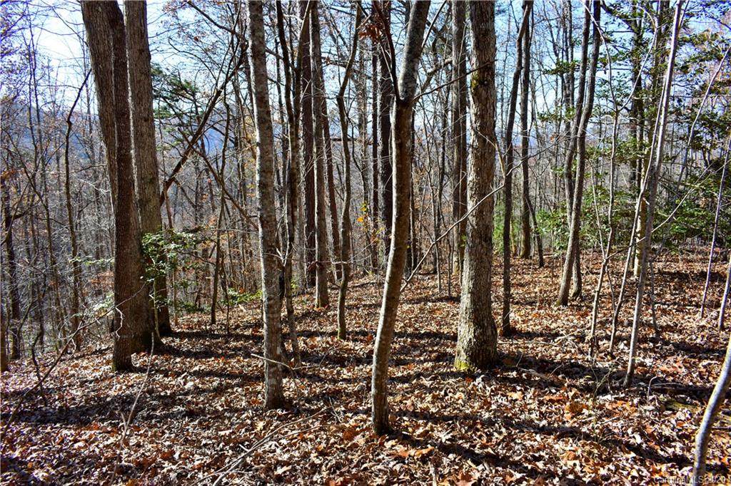 Lot 26 Bear Cove Circle - Photo 1