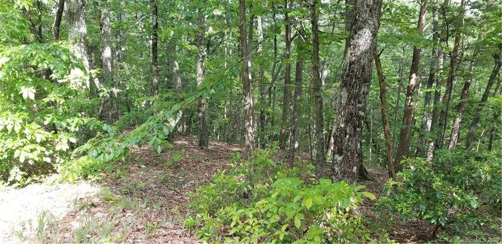 6262 Tommys Trail - Photo 1