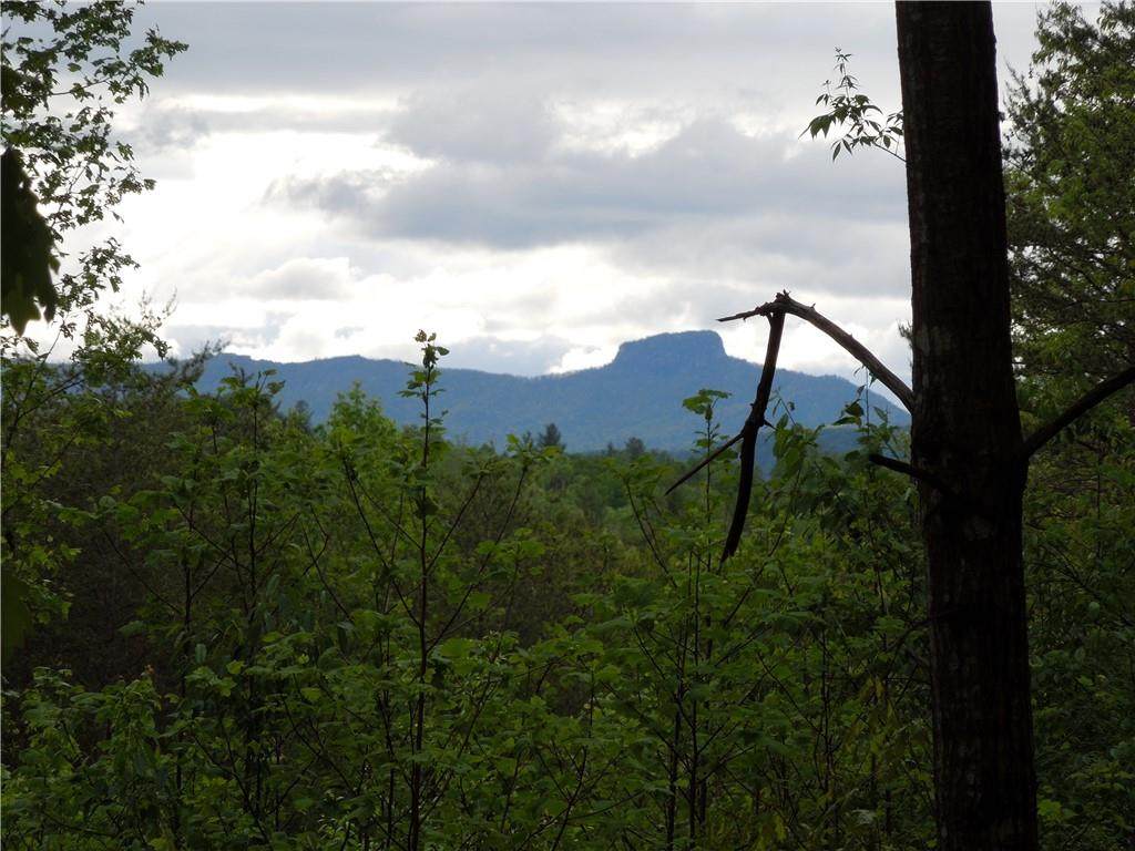 Lot 913 High Valley Way - Photo 1