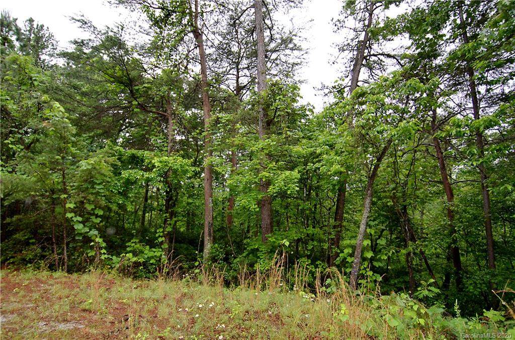 Lot#32 & 33 Laurel Valley Drive - Photo 1