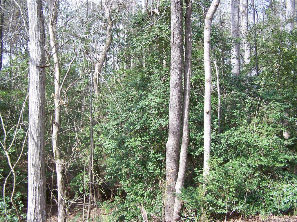 00 Borders Road - Photo 1