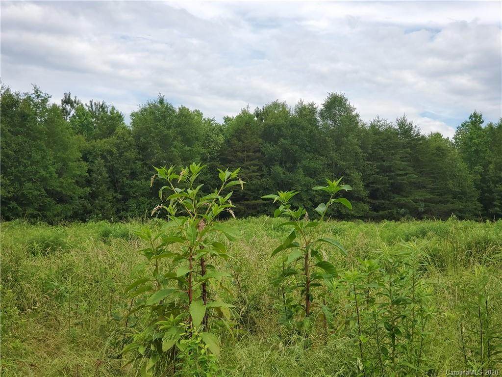 00 Rhyne Road - Photo 1