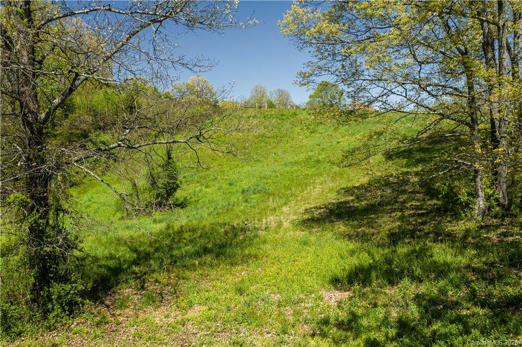 503 Dykeman Trail - Photo 1
