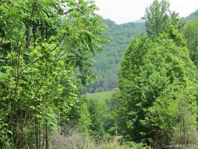 0 Hortons Creek Road - Photo 1