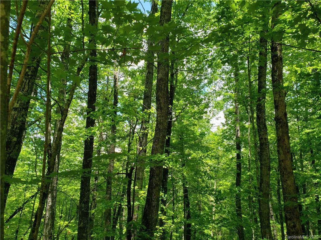 Lot 10 Forest Trail - Photo 1