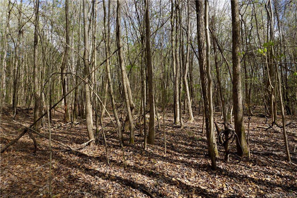 7 AC Tremont Drive - Photo 1