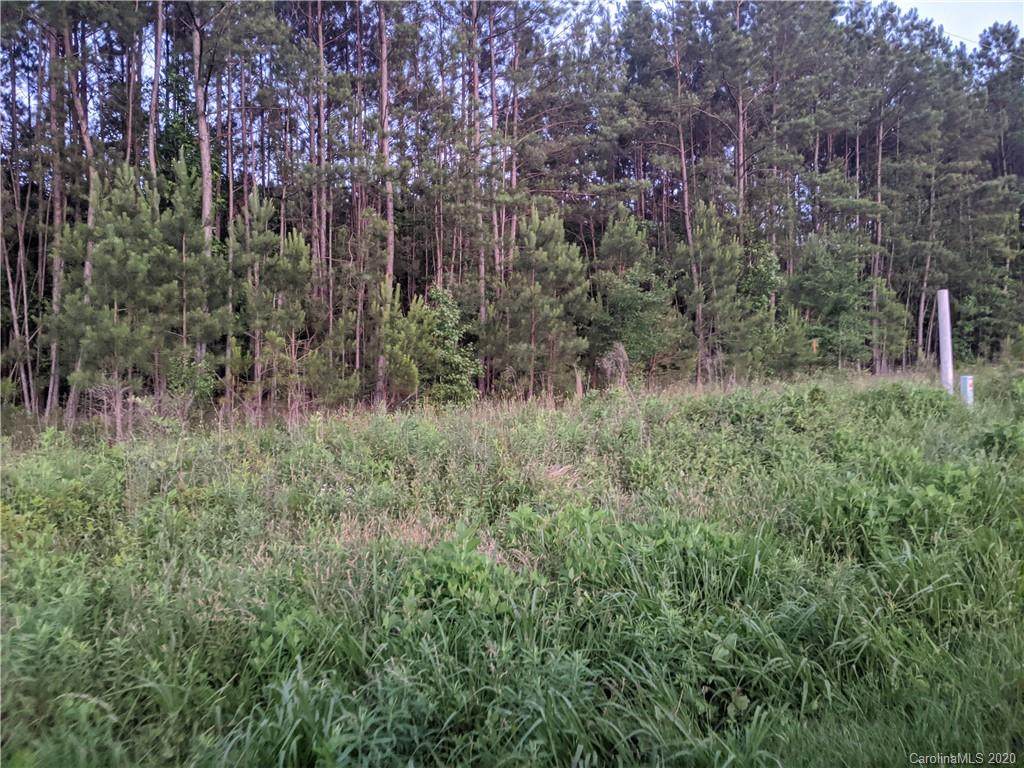 Hwy 21 Catawba River Road - Photo 1