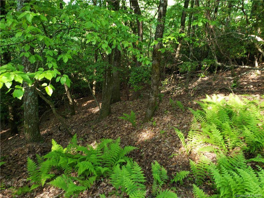 lot 406 Connestee Trail - Photo 1