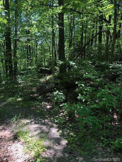 Lot 4B Lower Flat Creek Road - Photo 1