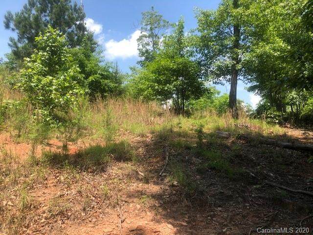 99999 Bear Cliff Circle - Photo 1