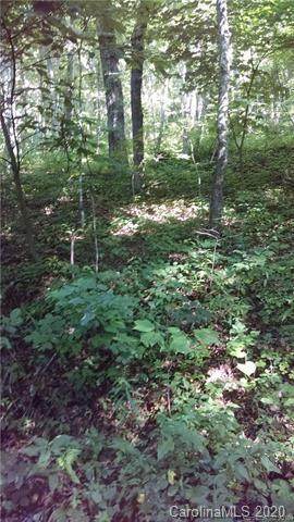 00 Skyline Drive - Photo 1