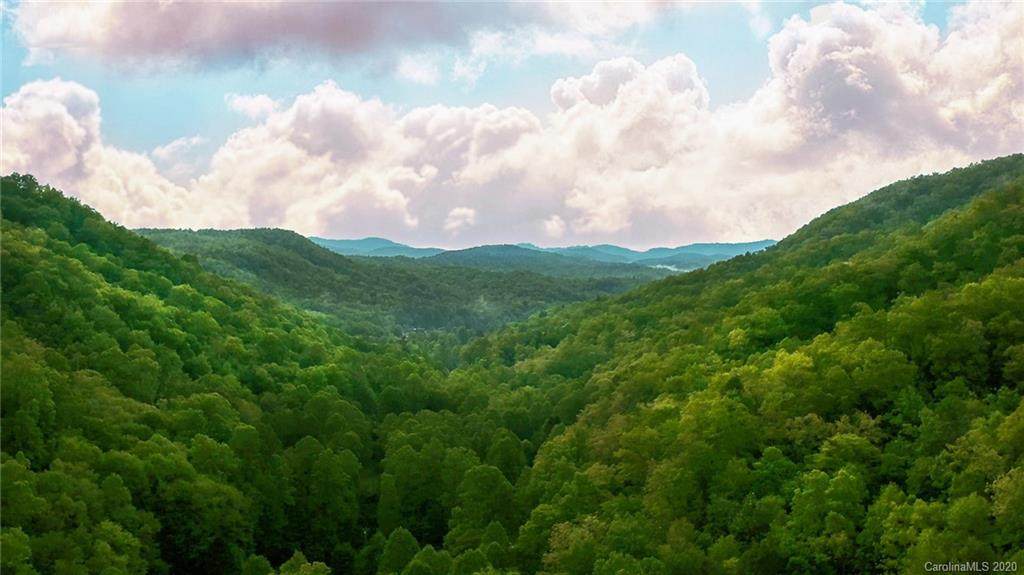000 Line Runner Ridge Highway - Photo 1