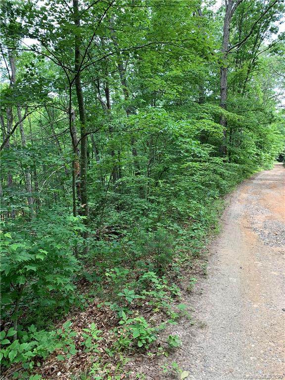 TBD Dix Creek #1 Road - Photo 1