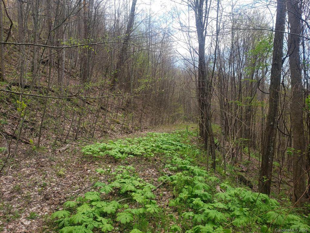 0 Justin Ridge - Photo 1