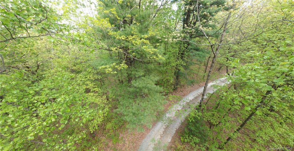 TBA Chestnut Ridges Road - Photo 1