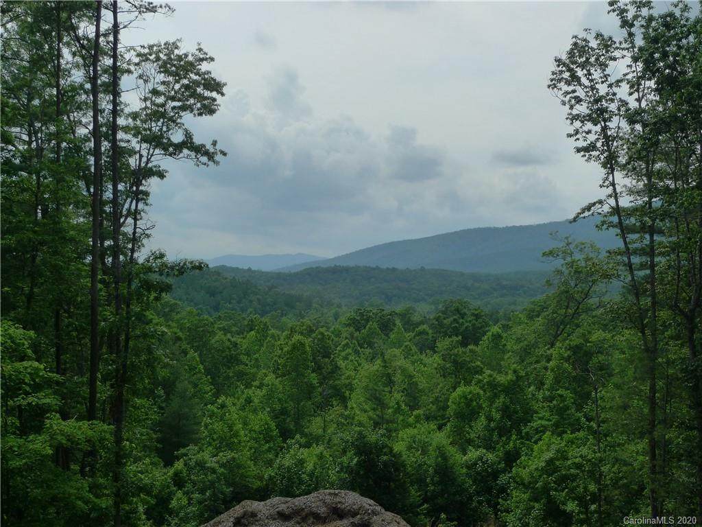 1621 Pisgah Preserve Drive - Photo 1