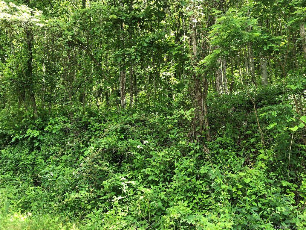 4.59 acres on Wesley Creek Road - Photo 1
