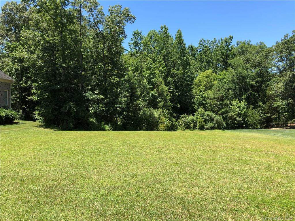 1233 Hadley Park Lane - Photo 1