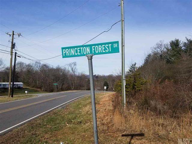 0000 Princeton Forest Drive - Photo 1