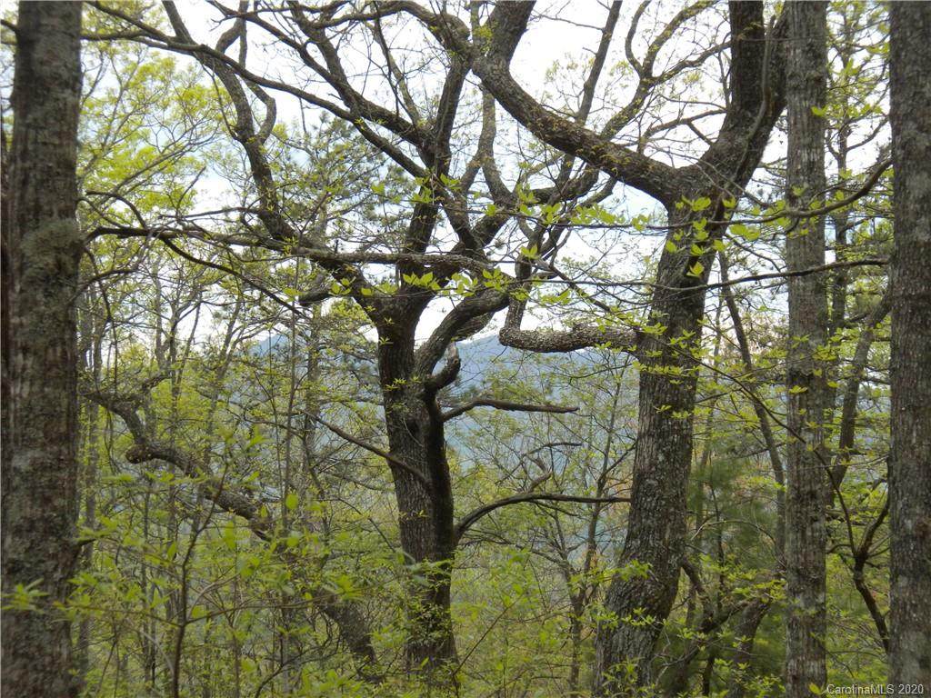 Lot 14 Rock Cave Road - Photo 1