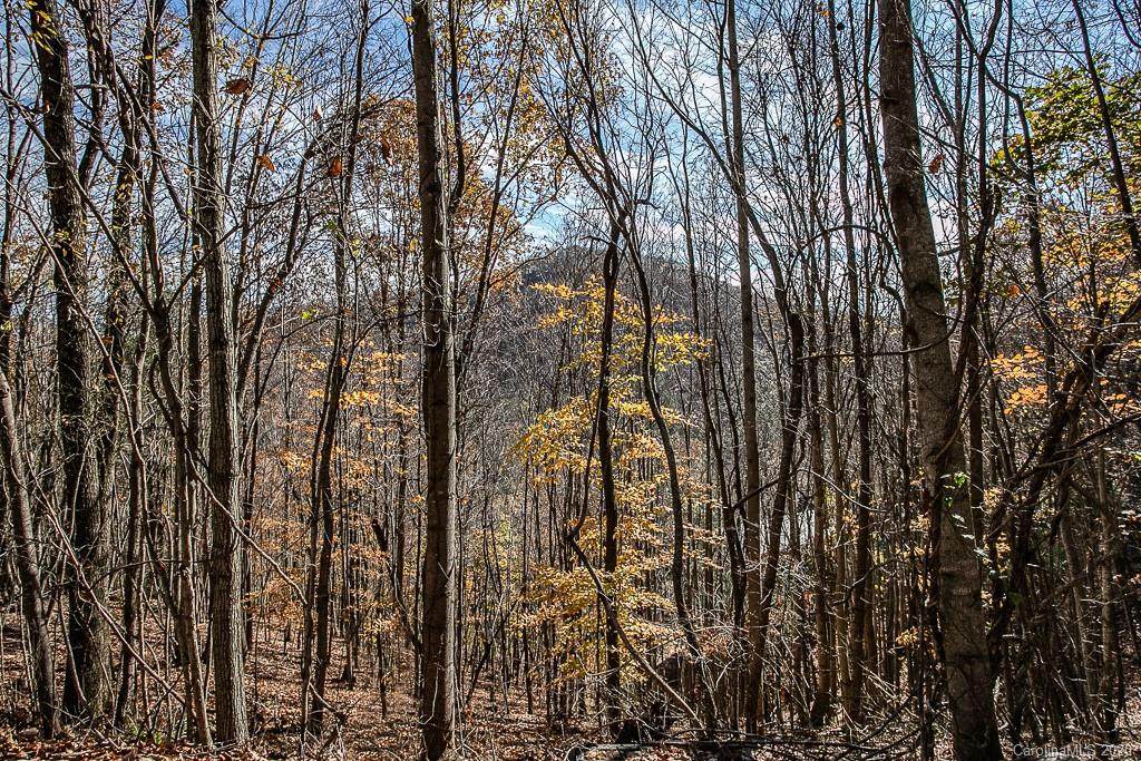 176 Brown Road - Photo 1