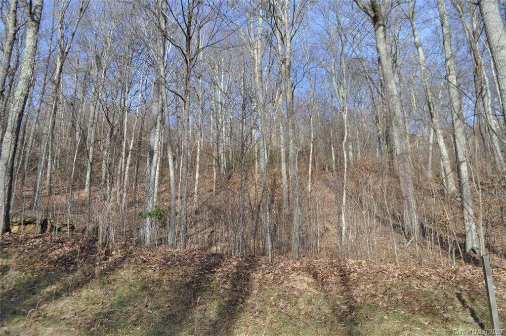 Lot 31 Smoky Mountain View - Photo 1