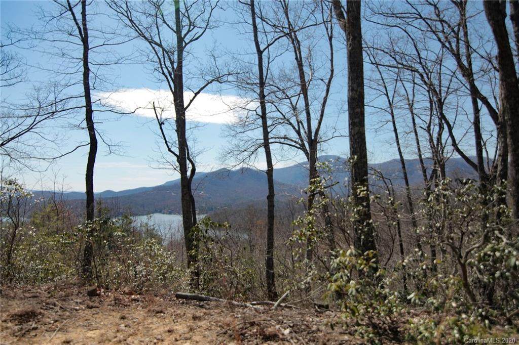 0 Hawks Nest Trail - Photo 1