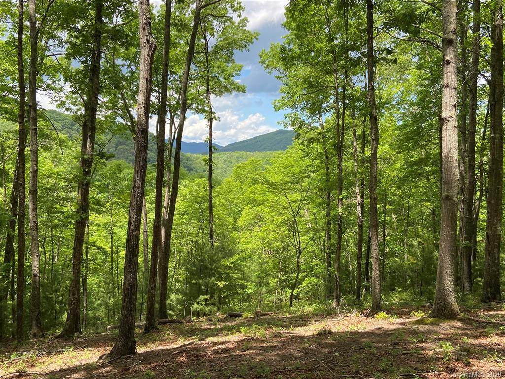 1028 Wild River Run - Photo 1