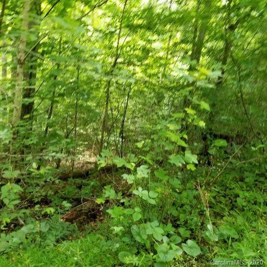 TBD Pack Saddle Drive - Photo 1