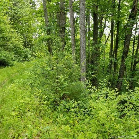 TBD Pack Saddle Drive - Photo 1